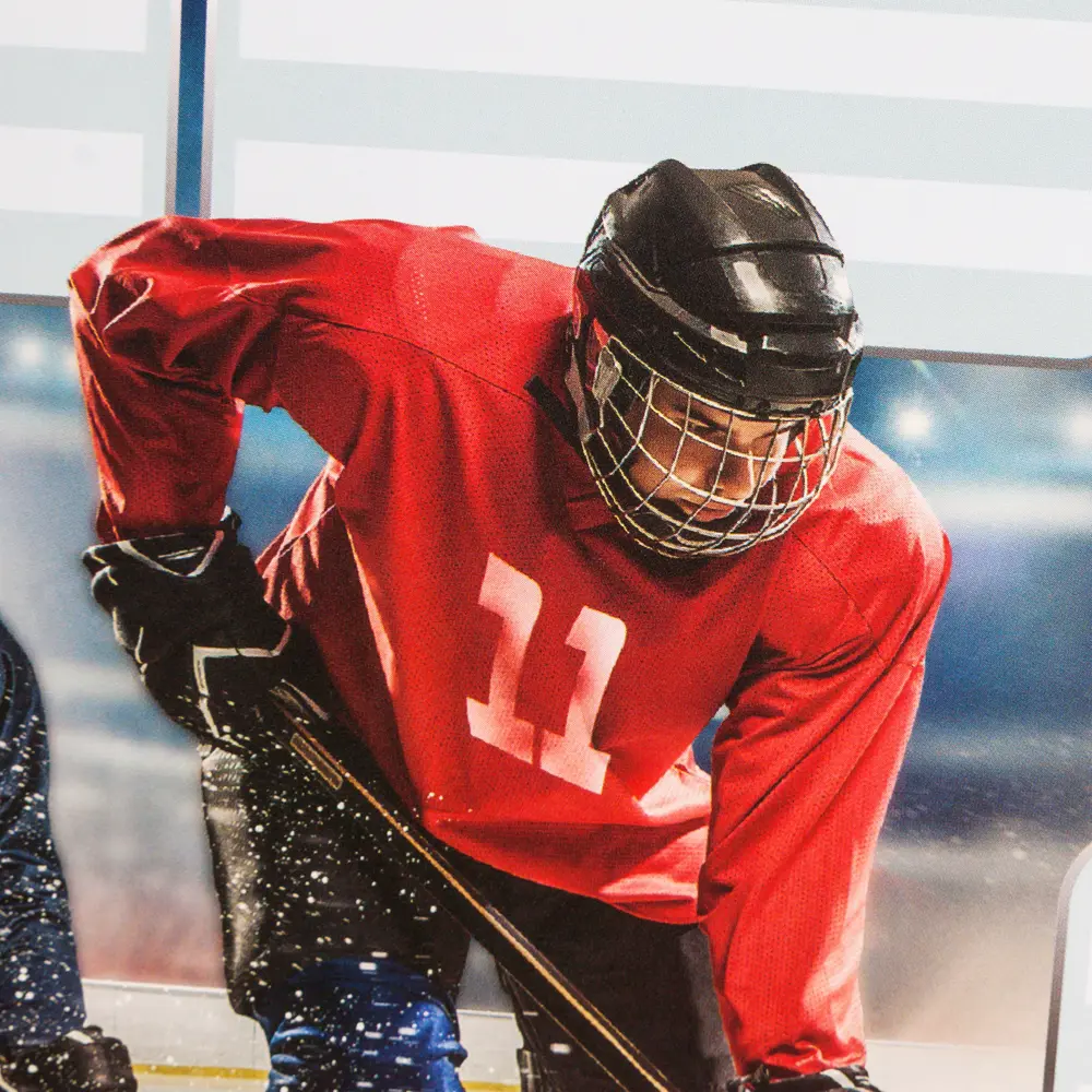 Наклейка «Школа- Ледовый дворец» Декоретто S Santreyd STLM-2191101 - Вид №1