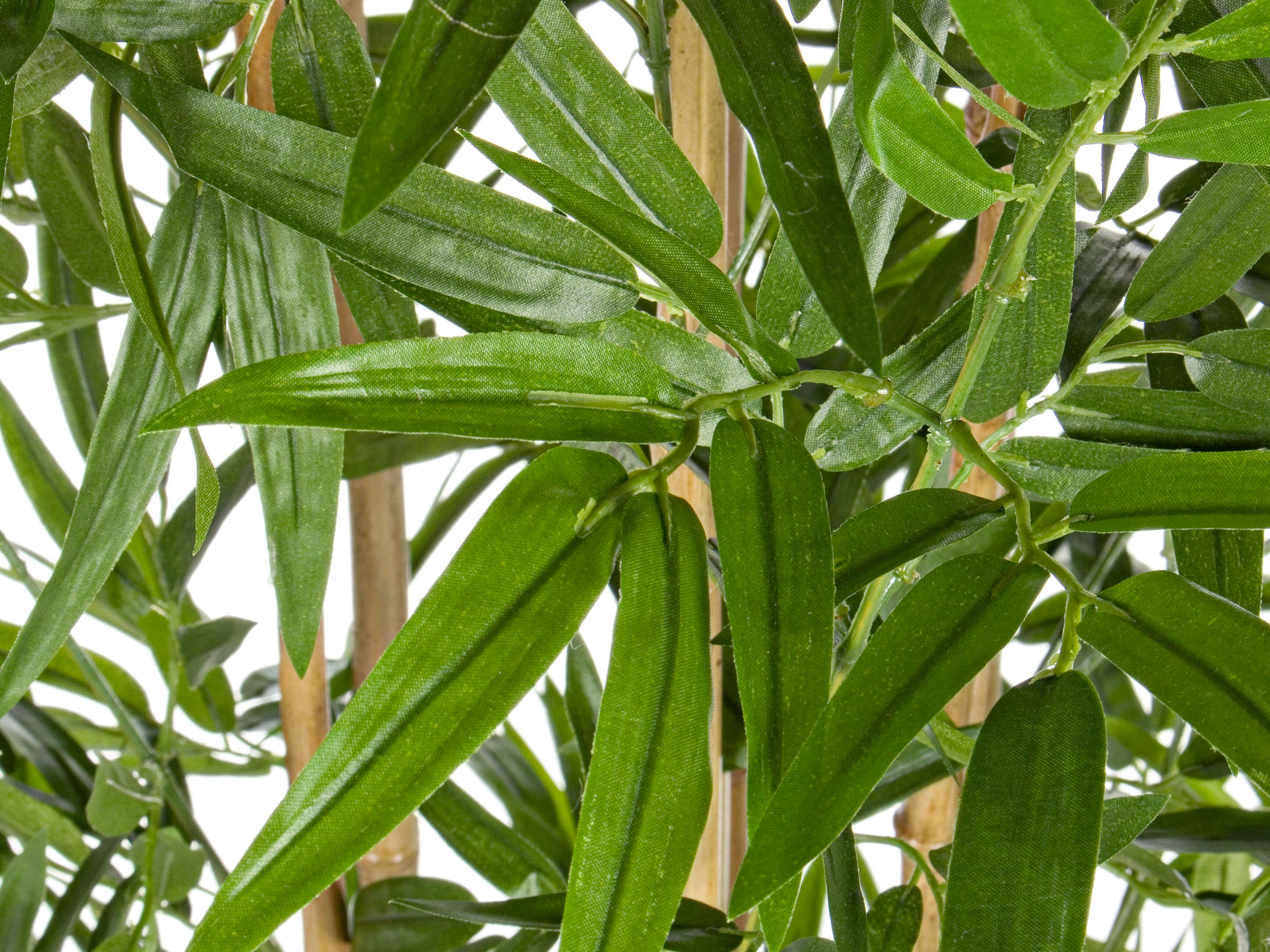 Искусственное растение BIZZOTTO BAMBOO H185 ARCH-00120459 - Вид №1