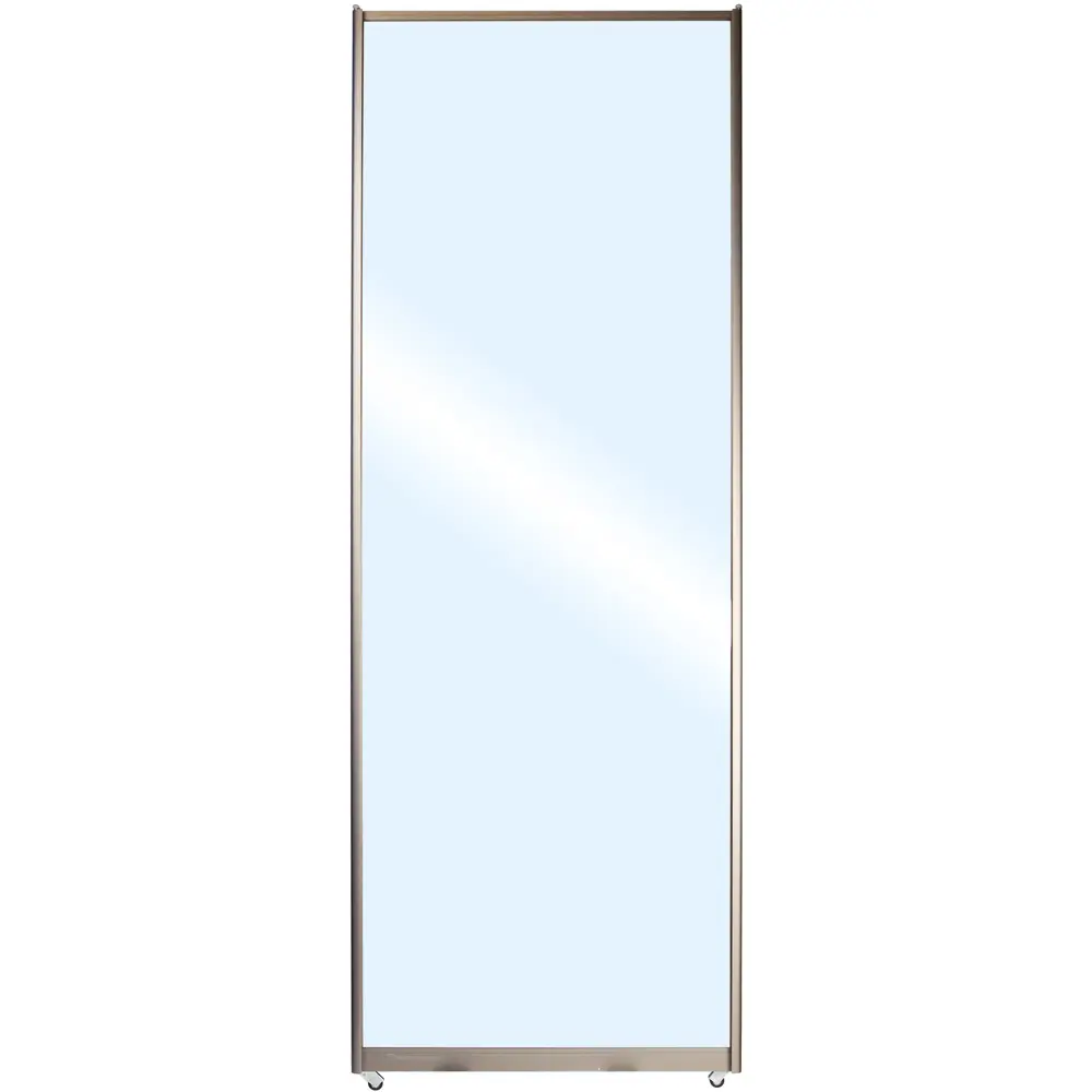 Дверь-купе Spaceo 2117х904 мм зеркало Santreyd STLM-2200871