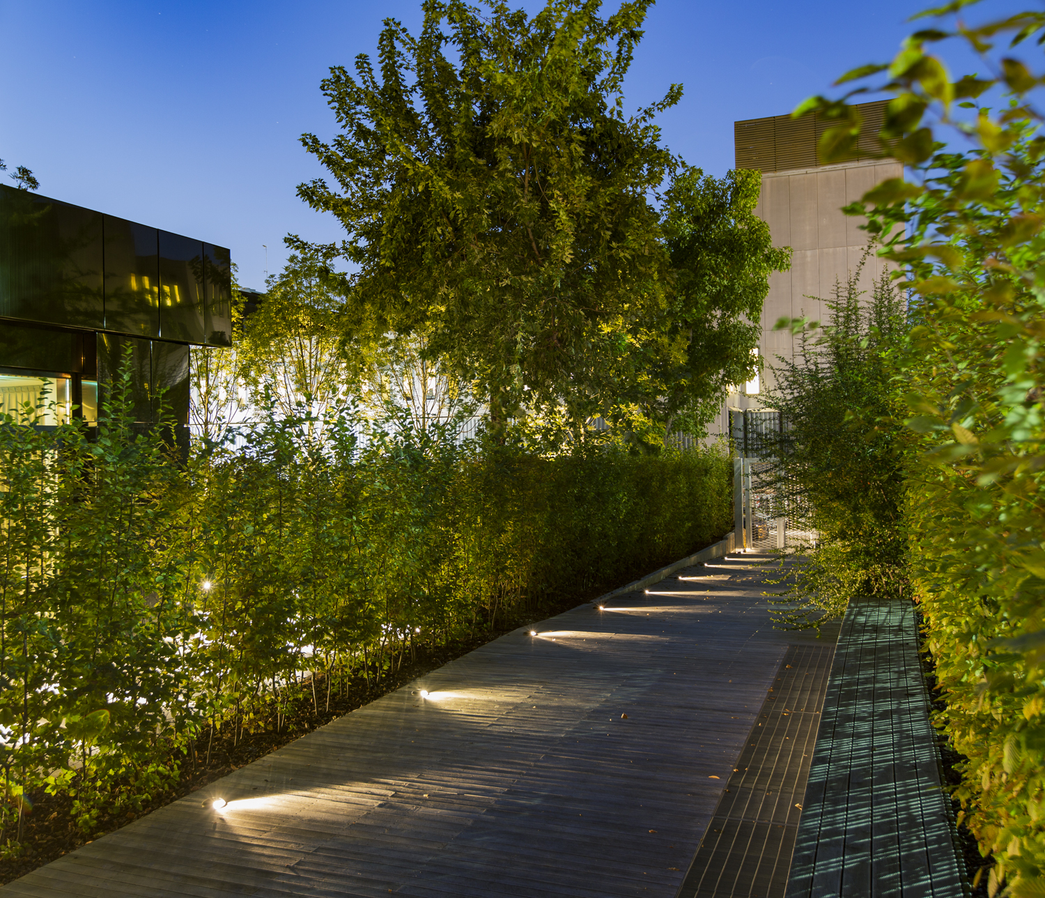 8409816 Настольный встаеваемый светильник Platek MINI Luce radente  MINI Roll Over - LED 3000K 4 Openings  - Вид №4