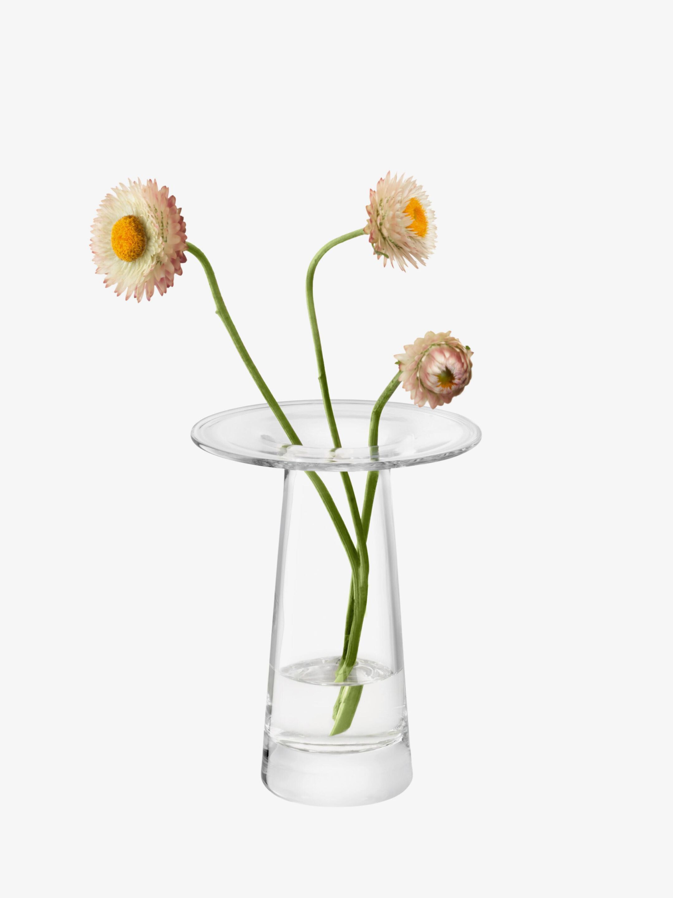 Ваза из дутого стекла LSA Виктория ARCH-00050057 - Вид №2