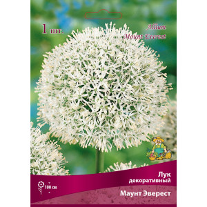 Лук декоративный «Маунт Эверест» размер луковицы 18/20