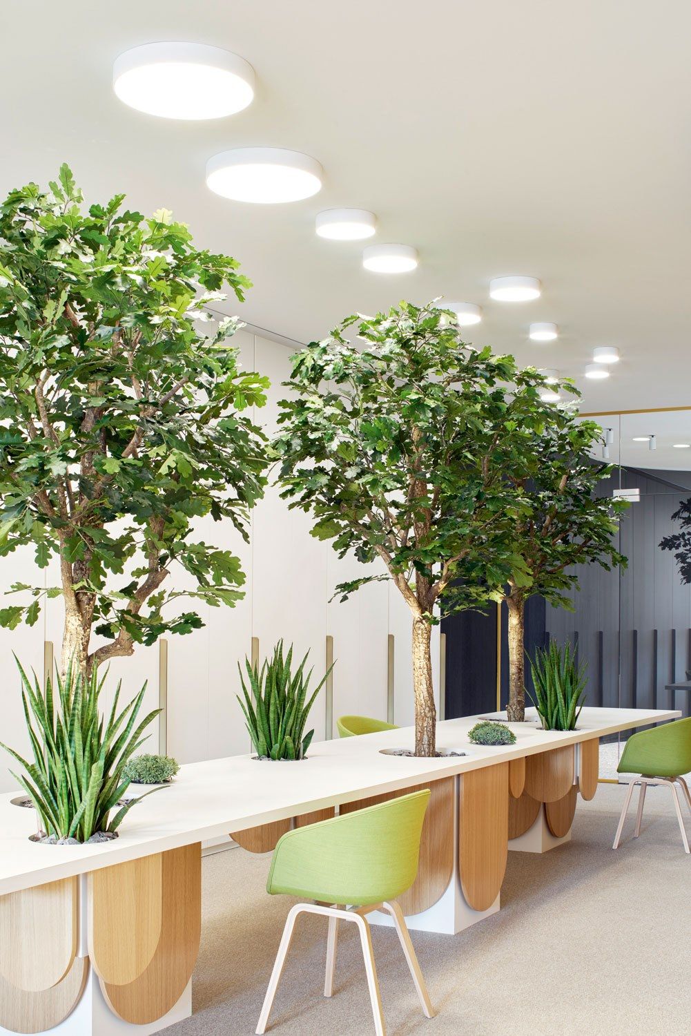 Светодиодный потолочный светильник Deltalight Supernova XS ARCH-00107966 - Вид №2