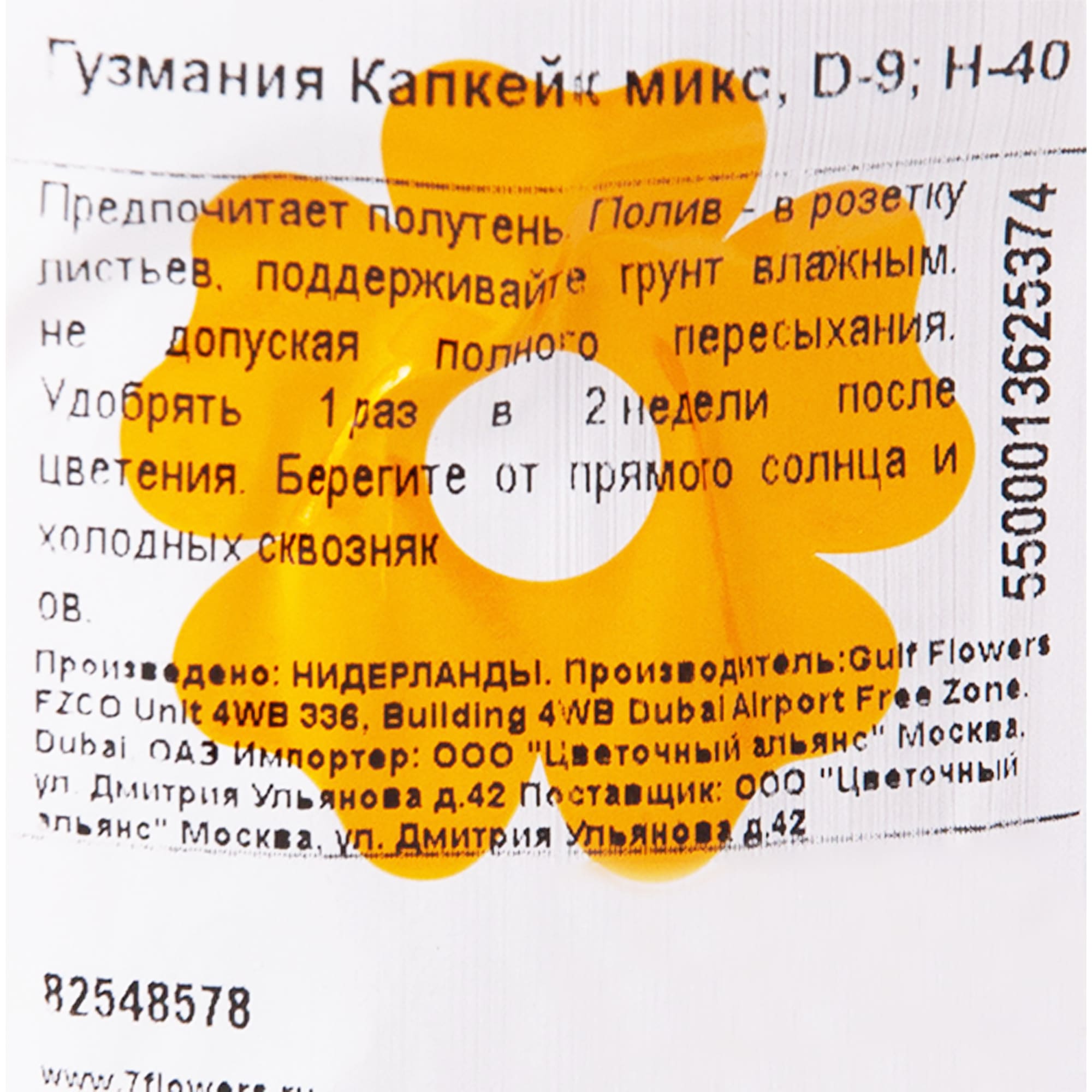 82548578 Гузмания Капкейк микс 9х40 см Santreyd  - Вид №2