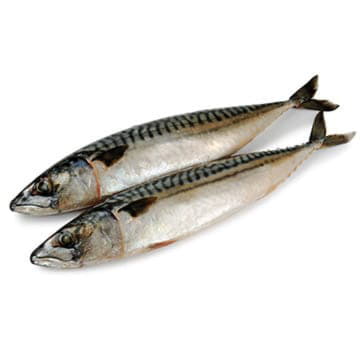 Скумбрия охлажденная ~600 г Santreyd 25720 - Вид №1