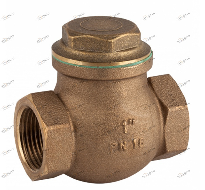 GENEBRE 3186 06 Поворотный обратный клапан из ПТФЭ 