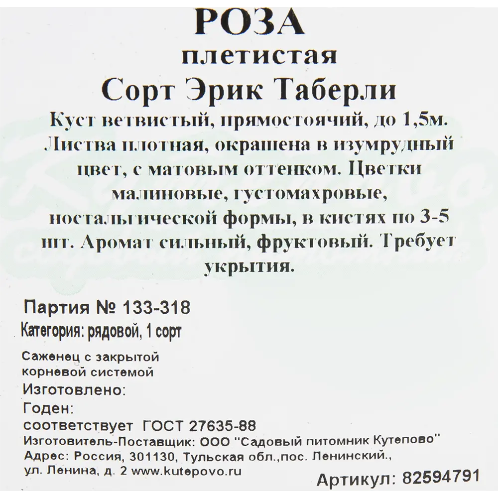Роза плетистая «Эрик Таберли» 15x30 см 82594791 STLM-2182204 Santreyd  - Вид №1