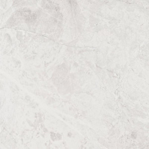 K949152FLPR1VTE0  Vitraglobal Versus XL