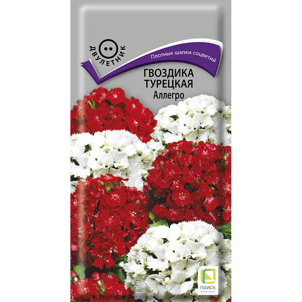Гвоздика турецкая Аллегро ПОИСК - яркие цветы для сада 89401259 STLM-1567975