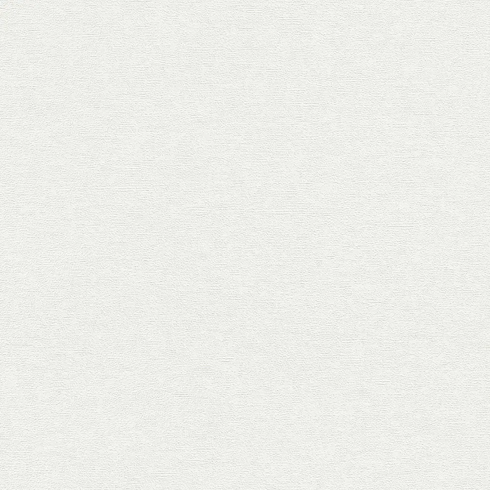 Обои флизелиновые Erismann Arezzo белые 1.06 м 5133-01 Santreyd STLM-2031220 - Вид №1