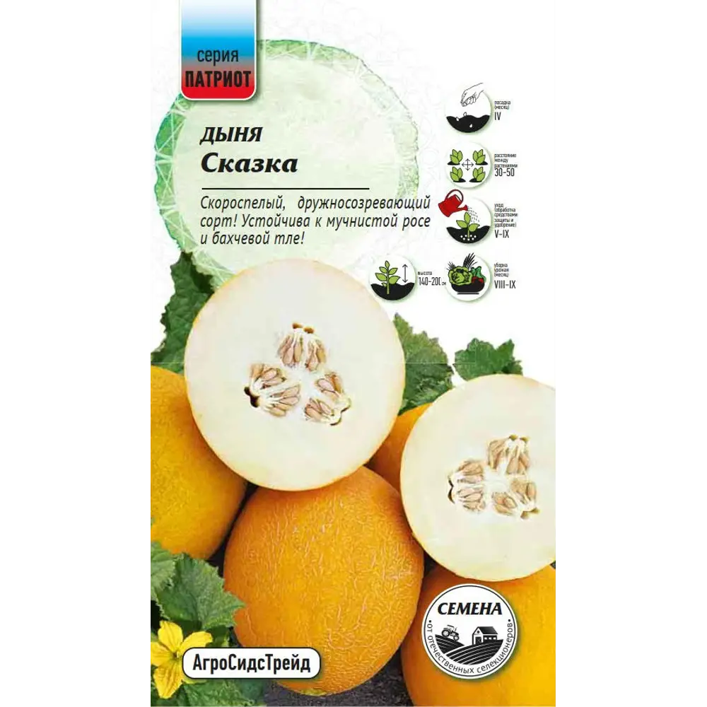 Семена плодово-ягодных растений Патриот дыня Сказка 10 шт Santreyd STLM-2064174