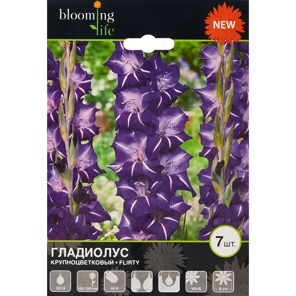 Гладиолус крупноцветковый Флирти 7 шт. 83628490 STLM-2120653 BLOOMING LIFE  - Вид №1