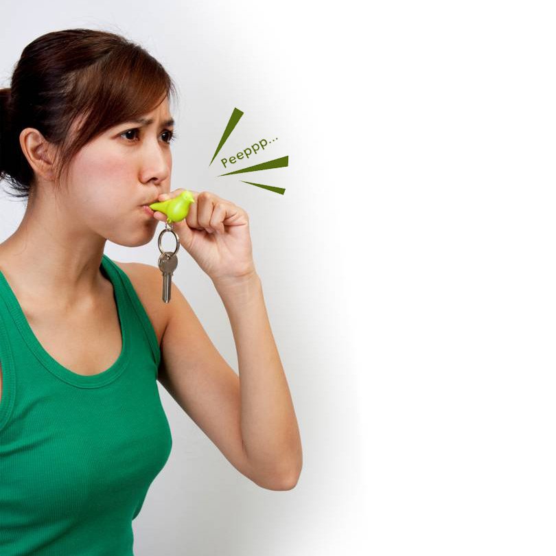 Держатель+брелок для ключей sparrow белый-черный QUALY  253172 Черный  - Вид №1