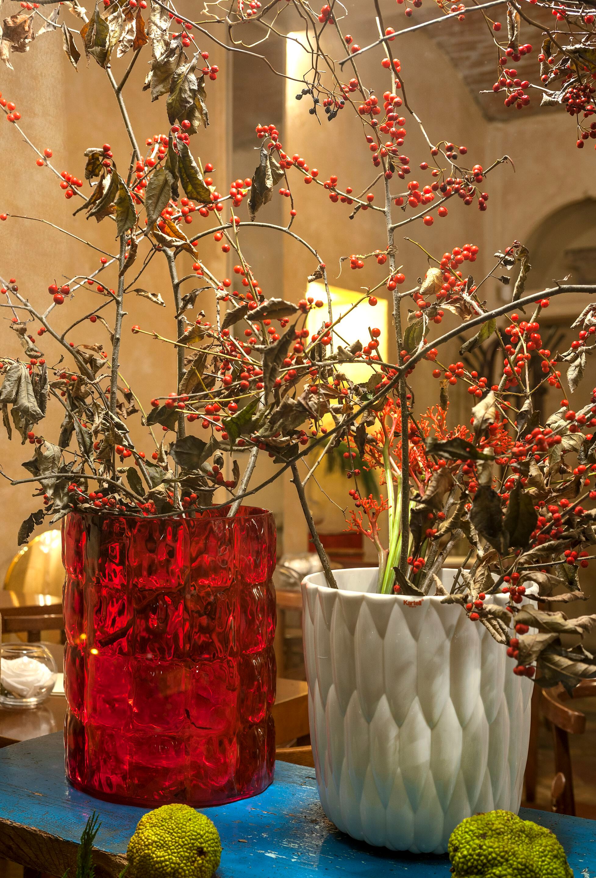 ВАЗа / ведро для льда из ПММА Kartell JELLY ARCH-00071824 - Вид №4