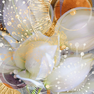 2251/CX38 Картина 2251 Adriani e Rossi