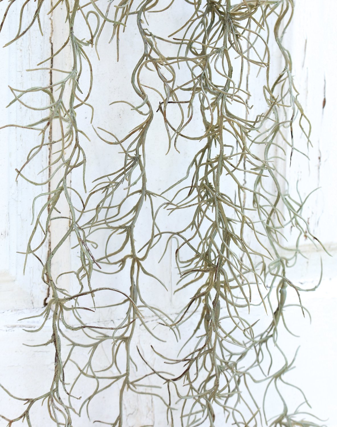 5214 819 a3 Вешалка из искусственного мха, 100 см, матово-зеленый H-andreas  - Вид №1