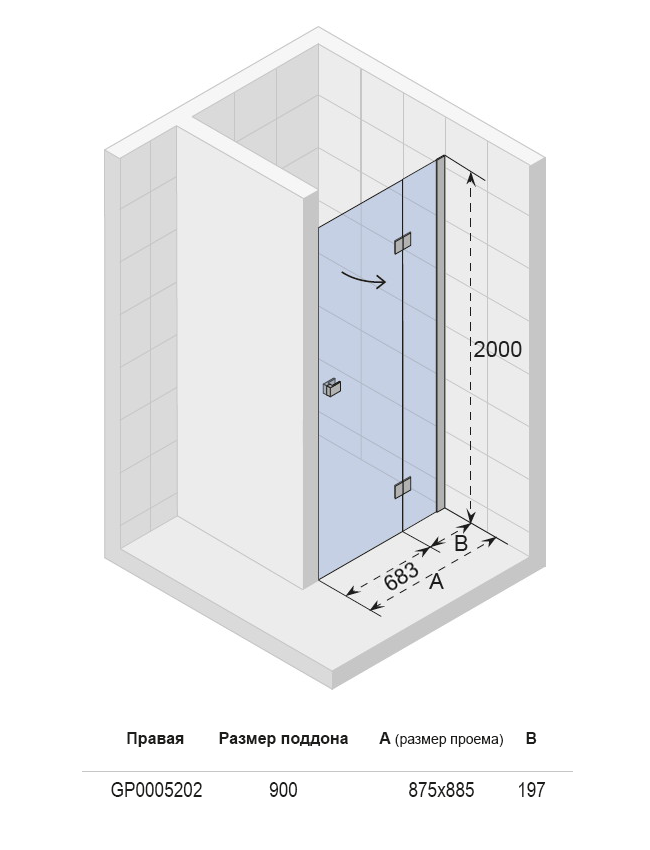 GP0005201 Душевая дверь Riho Polar Santreyd - Вид №3