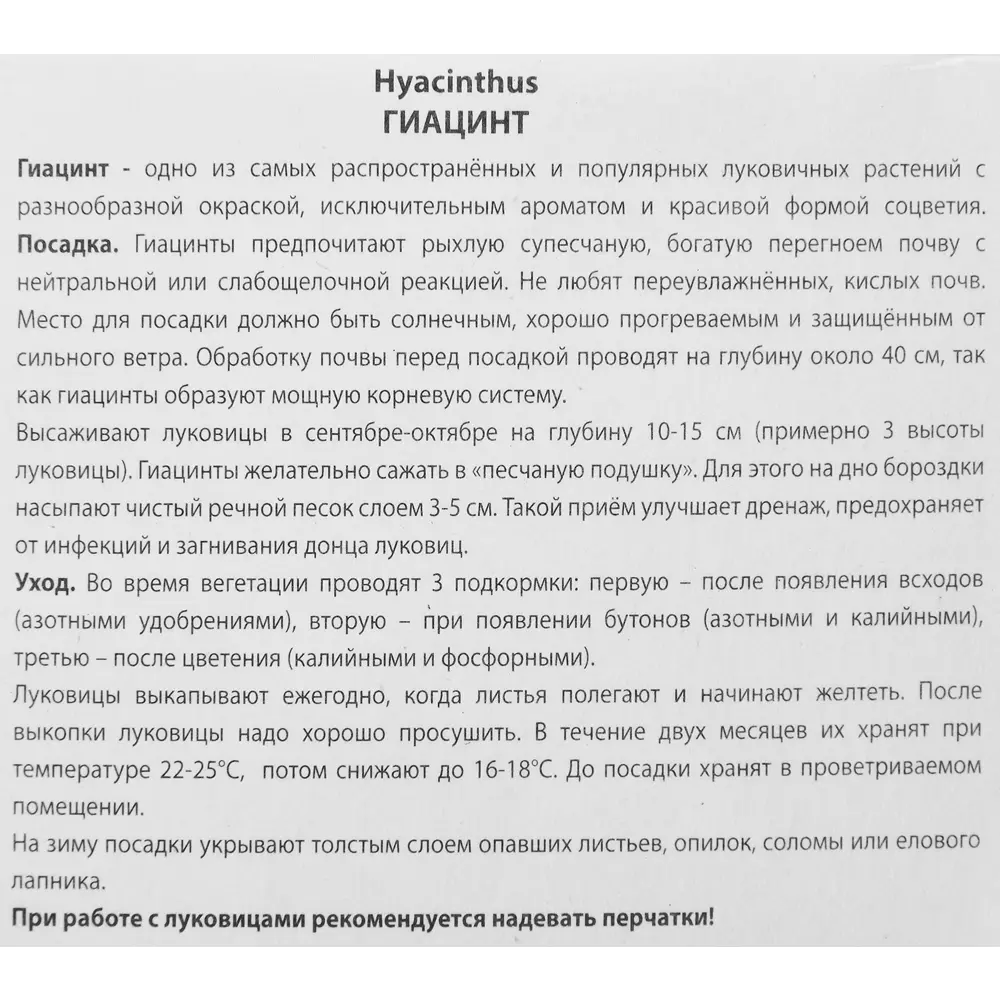 Гиацинт садовый Эприкот Пэшн, 3 шт 85204977 STLM-2135729 ПОИСК  - Вид №2