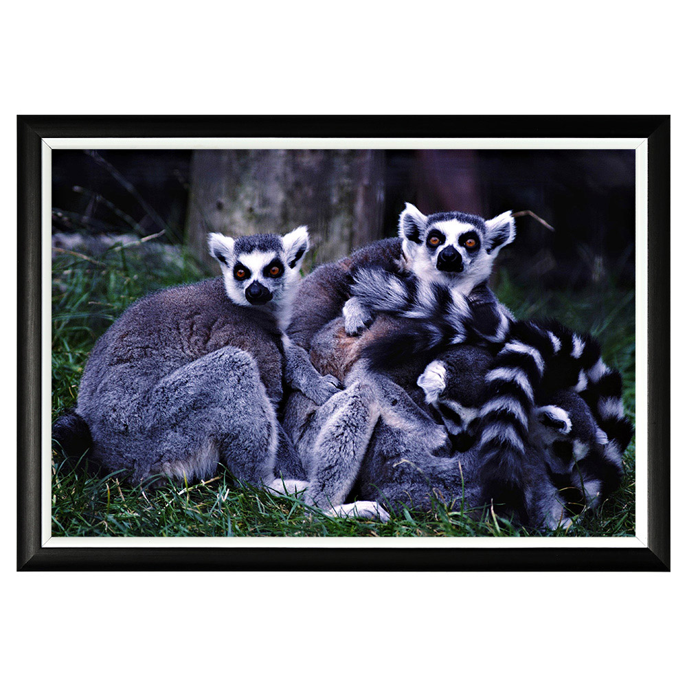 896523224_1818 Арт-постер «Monkey Business» Object Desire 