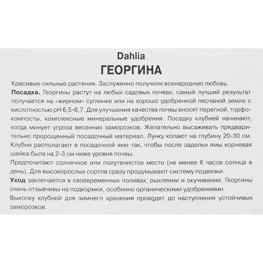 Георгина декоративная Аспен 86409979 STLM-2131152 ПОИСК  - Вид №2