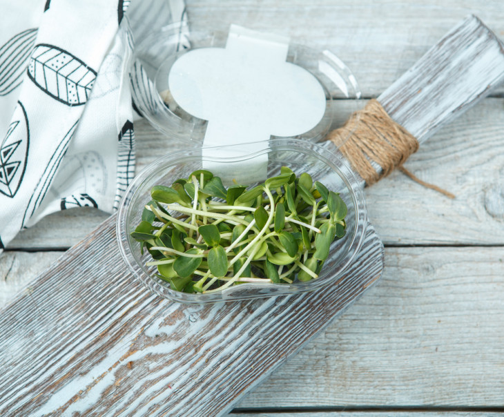 4123 Микрозелень подсолнечника Вкусляндия  - Вид №1