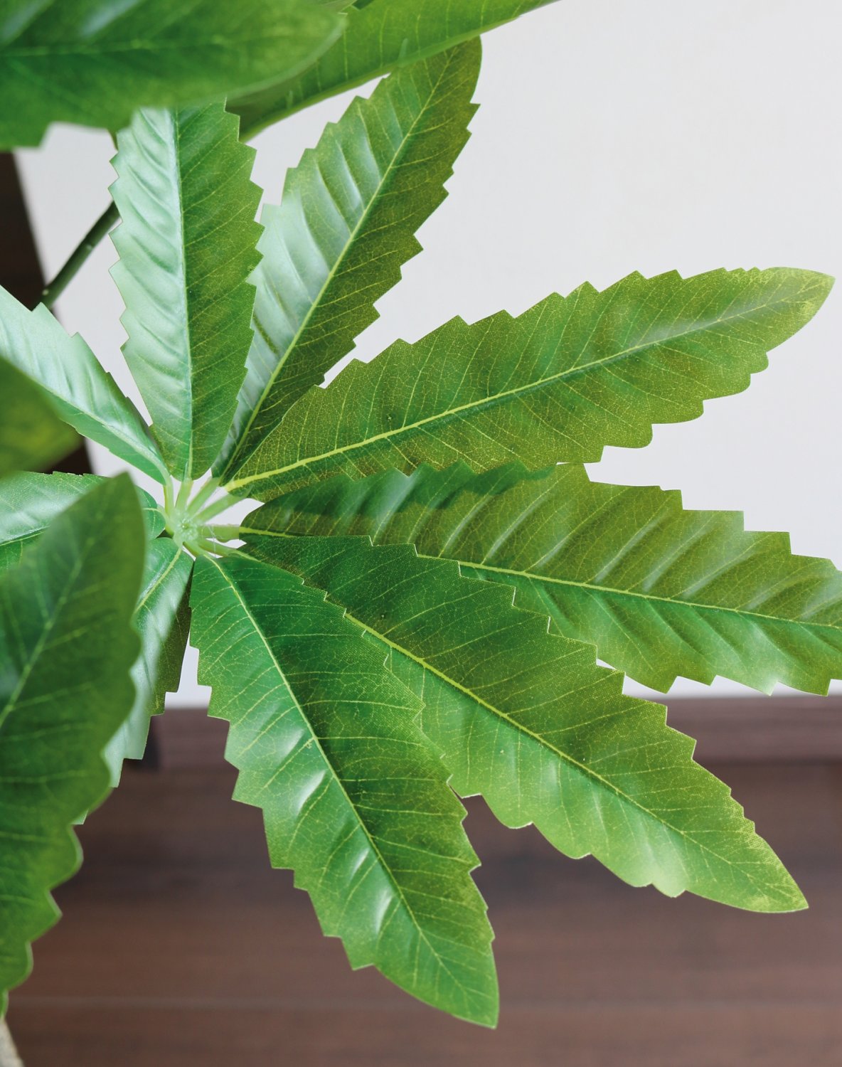 5481 883 a3 Искусственная шефлера, горшок, 160 см, зеленый H-andreas  - Вид №7