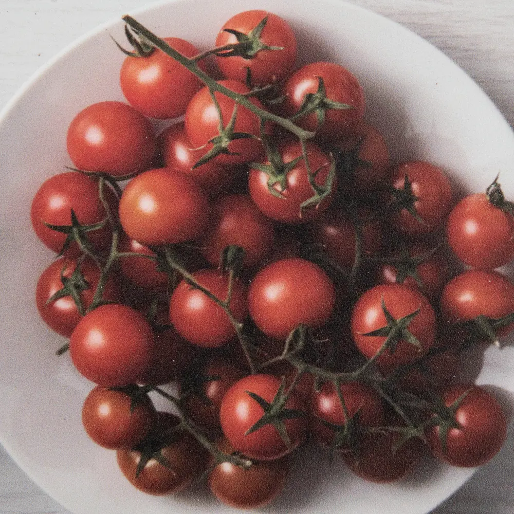 Салфетка-скатерть «Ясень», 60х90 см, ПВХ Santreyd STLM-2006193 - Вид №2