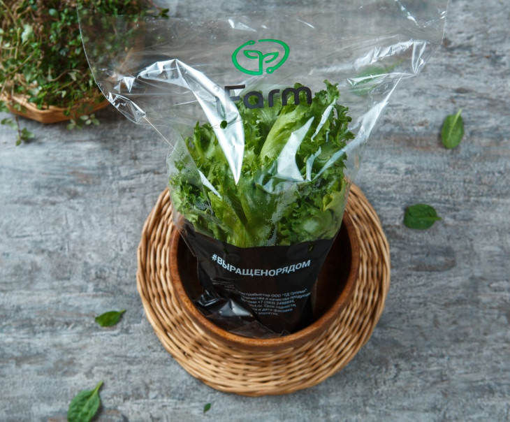 7400 Салат "Айсберг" в горшочке Выращено Рядом (iFarm) Вкусляндия  - Вид №1