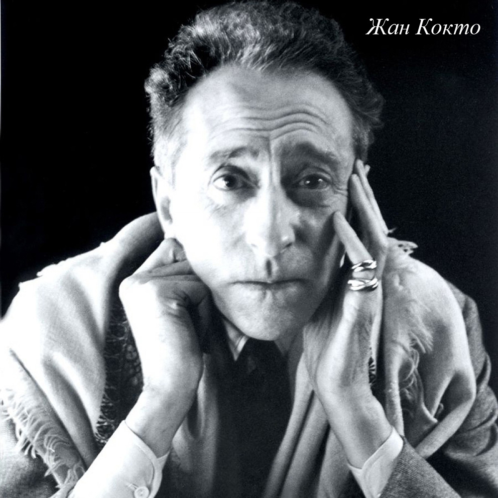 4314222 Арт-подушка «Портрет» Object Desire  - Вид №3