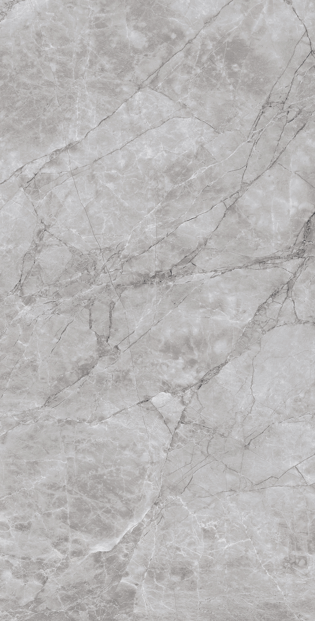 ARCTIC GREY ARCADIA CERAMICA CR4012-A - Вид №6