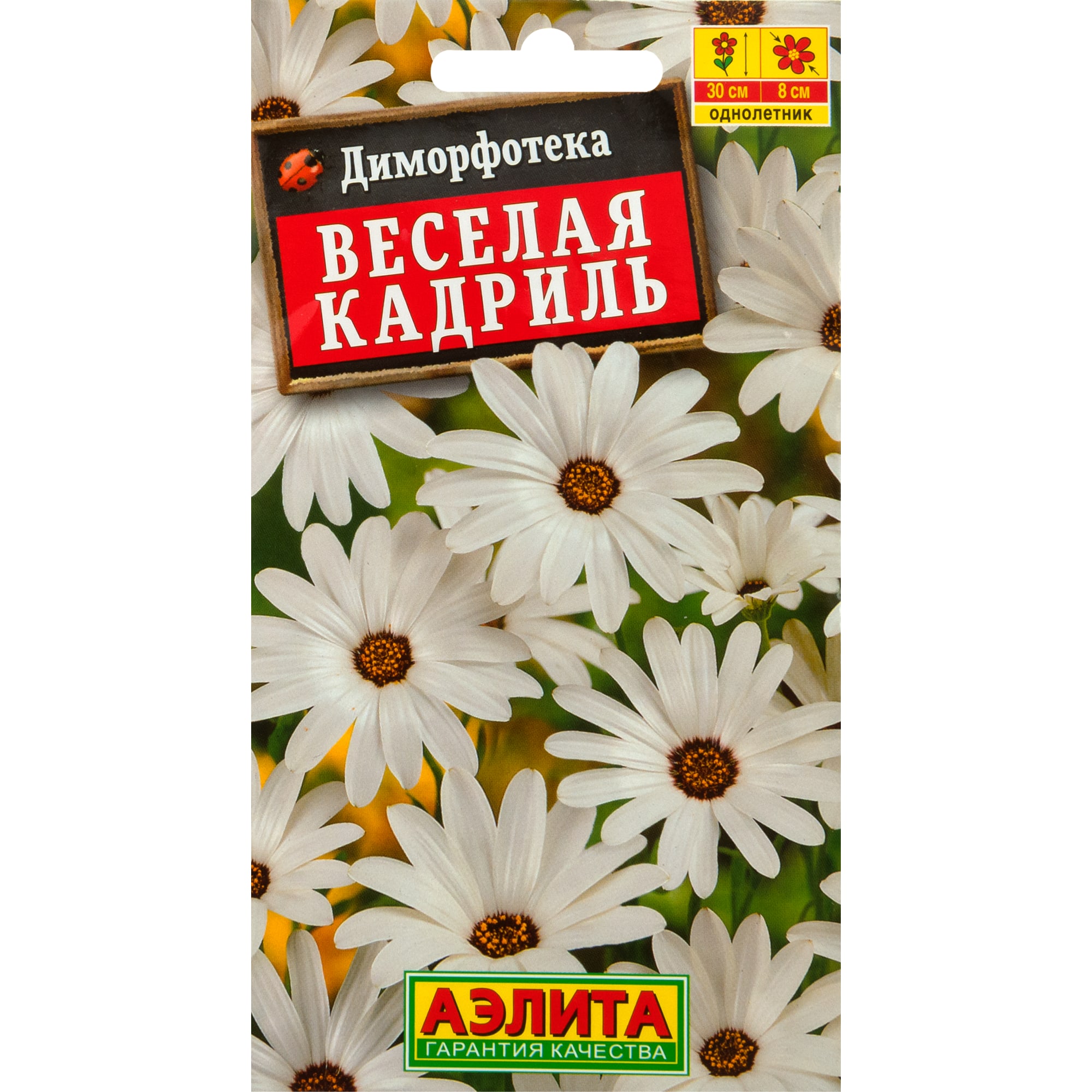 83495444 Семена Диморфотека «Веселая кадриль» Santreyd 