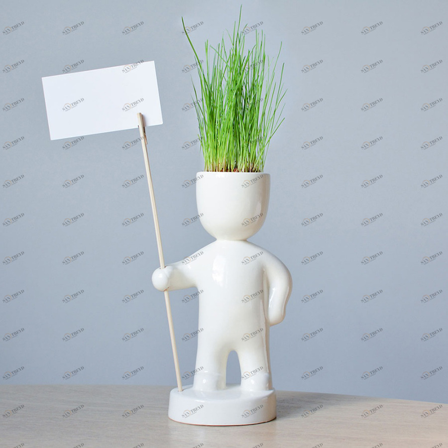 Набор для выращивания eco "Знаменосец" ЭКОЧЕЛОВЕКИ  254608 Белый 