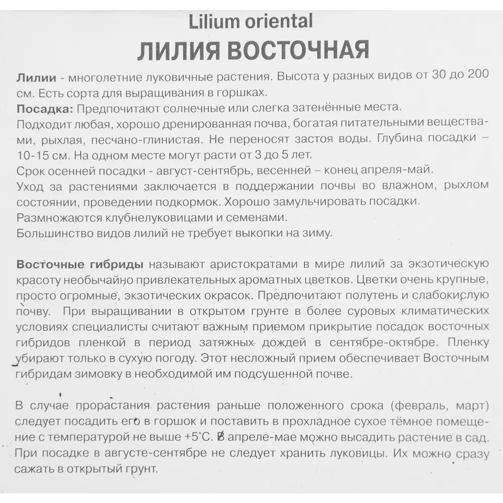 Лилия восточная Мах Лотус Бьюти 85205758 STLM-2195170 ПОИСК  - Вид №2