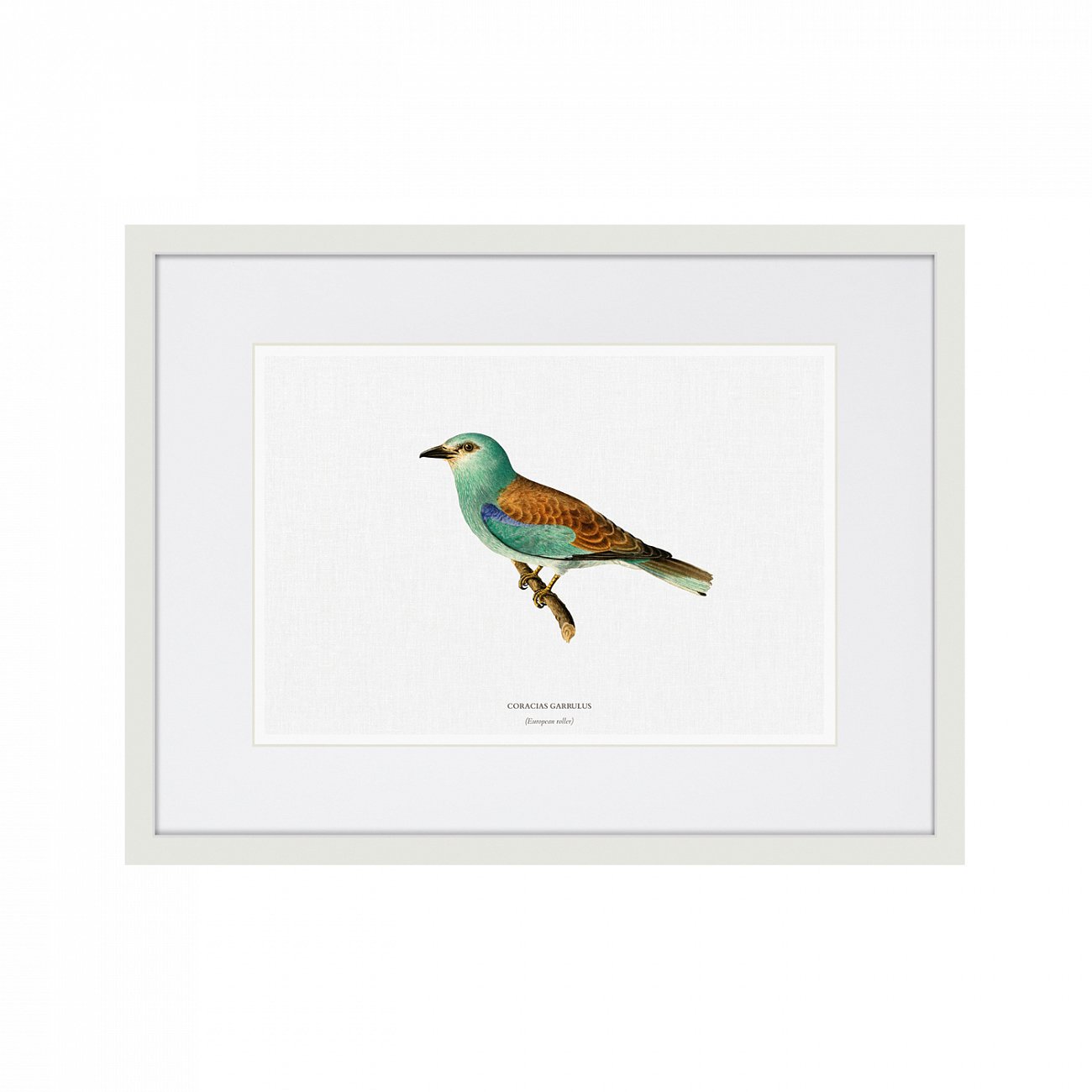 Картина белая 42х32 см Tiny Birds II, 1853г. КАРТИНЫ В КВАРТИРУ  00-3894709 Белый  - Вид №1