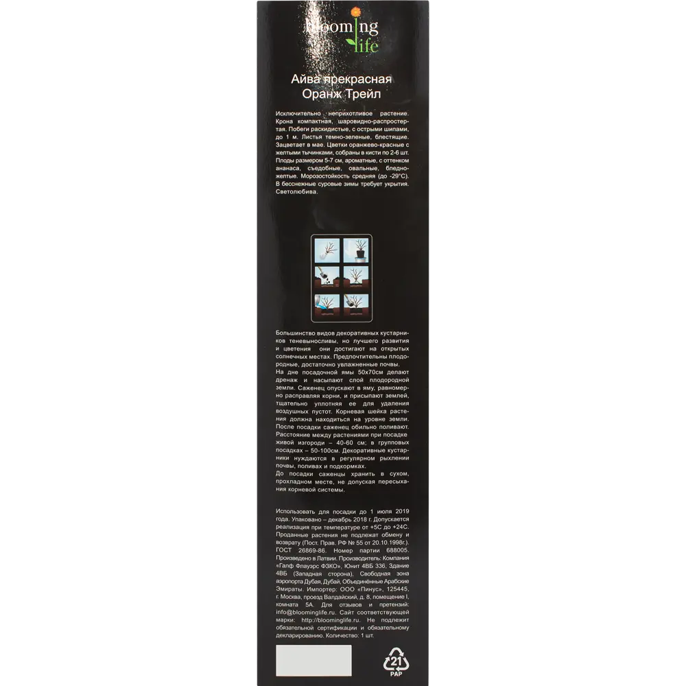 Айва прекрасная «Оранж Трейл» в тубе 82142807 STLM-2210326 Santreyd  - Вид №2