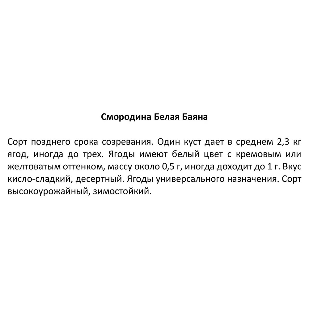 Смородина белая ø17 h80 см 83248558 STLM-2198864 Santreyd  - Вид №4