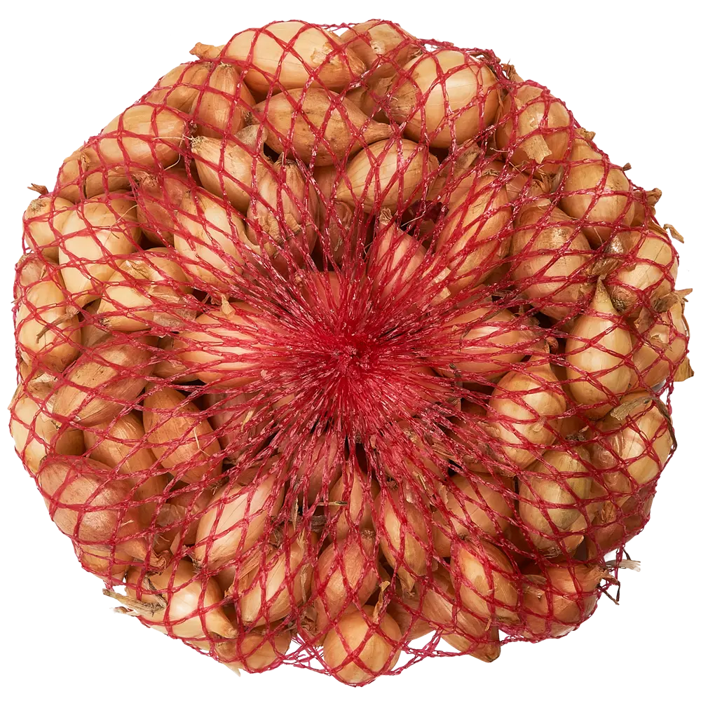 Лук-севок Стурон 0.5 кг Santreyd STLM-2146615