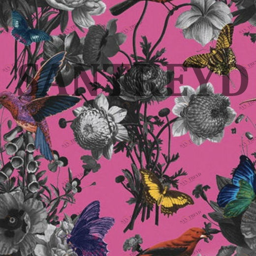 106429 Обои Graham&Brown Curiosity