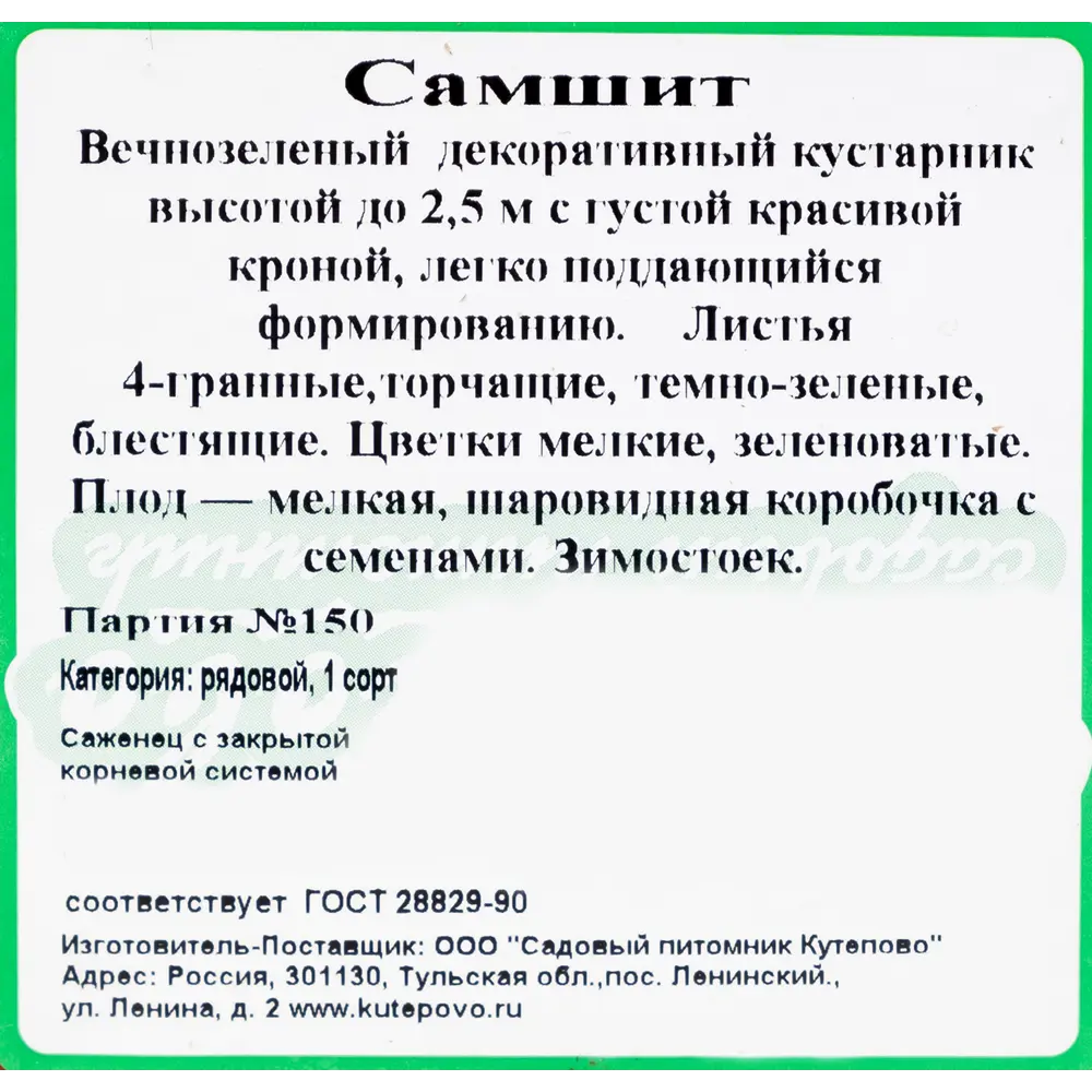 Самшит С2 h30 81954853 STLM-2035175 Santreyd  - Вид №1