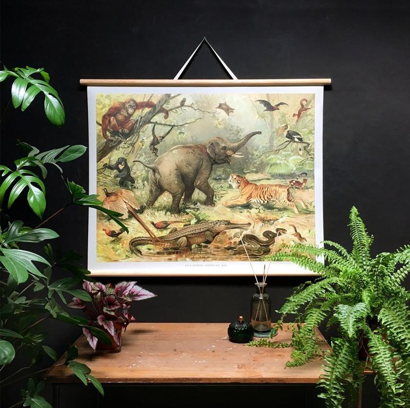 Groovy Magnets Магнитный плакат Animal Pos-ff - Вид №6