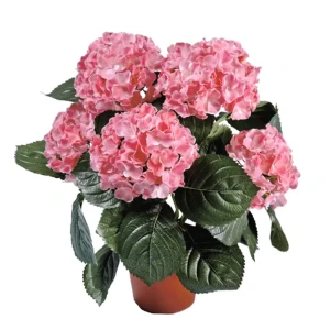 Гортензия микс ø11 h25 см 83738777 STLM-2036015