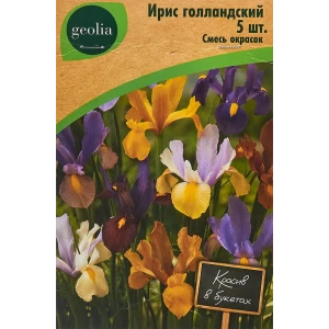 Ирис голландский смесь окрасок 5 шт 86408571 STLM-2103861