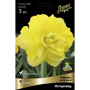 Нарцисс махровый Истертайд Люкс от ПОИСК - 3 луковицы для изысканного сада 89381216