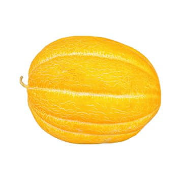 Дыня Эфиопка ~2,5 кг Santreyd 23670 - Вид №1