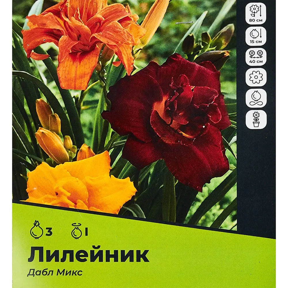 Лилейник Дабл микс разбор I 3 шт. 89354483 STLM-2108468 Santreyd 
