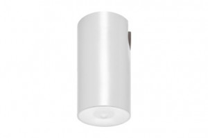 DST-89 Lens watertight ceiling-mounted Daisalux Светильники аварийные Белый
