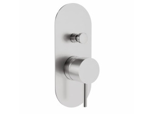 Нержавеющая сталь встраиваемые однорычажный смеситель для душа