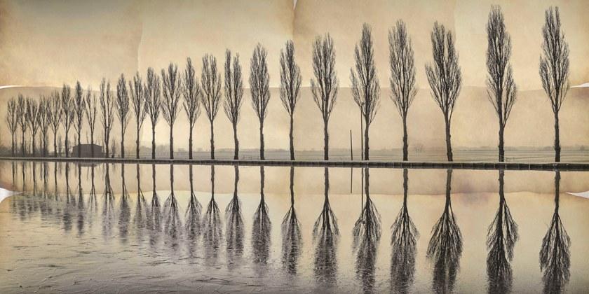 Creativespace Панорамные моющиеся обои Wallpaper 2018 sun-id-1431550 - Вид №1