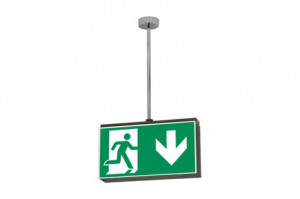 DST-3035 Lisu suspended Daisalux Светильники сигнальные Металлический Серый