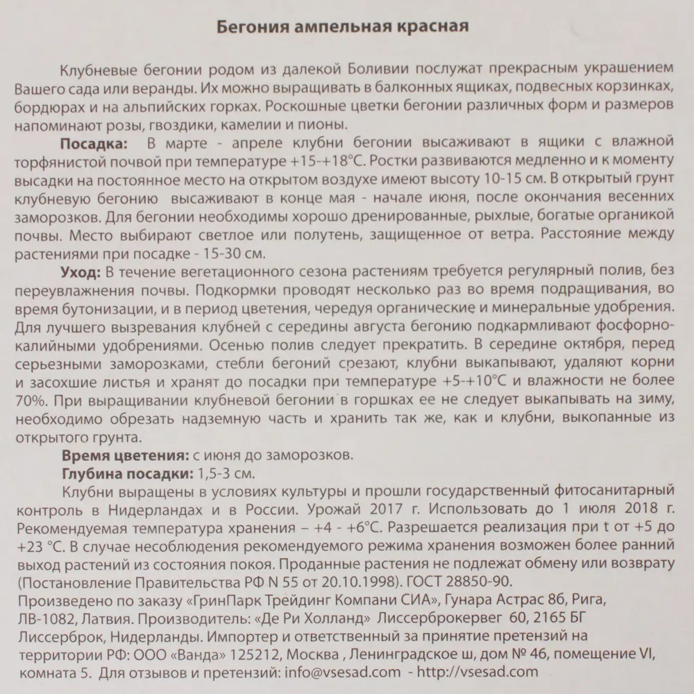 Бегония ампельная, цвет красный 81945830 STLM-2171607 ВСЕ В САД  - Вид №2